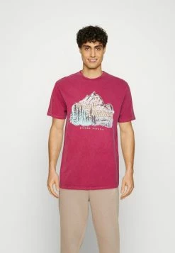 Vintage Supply MOUNT WHITNEY GRAPHIC UNISEX - Print T-shirt - Rust Pink