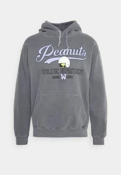 Vintage Supply OVERDYED CHARCOAL HOODIE WITH PEANUTS WOODSTOCK GRAPHIC UNISEX - Hoodie - Charcoal Grey