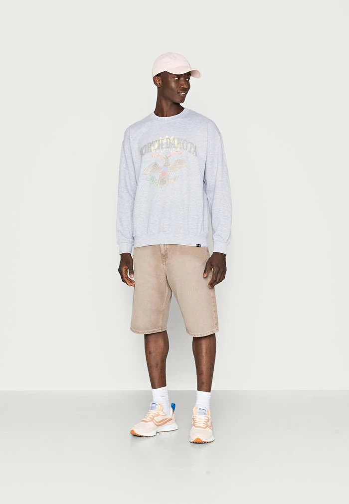 NORTH DAKOTA - Sweatshirt - sports grey