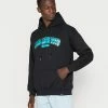 Vintage Supply MASSACHUSETTS PRINT HOODIE - Sweatshirt - Black